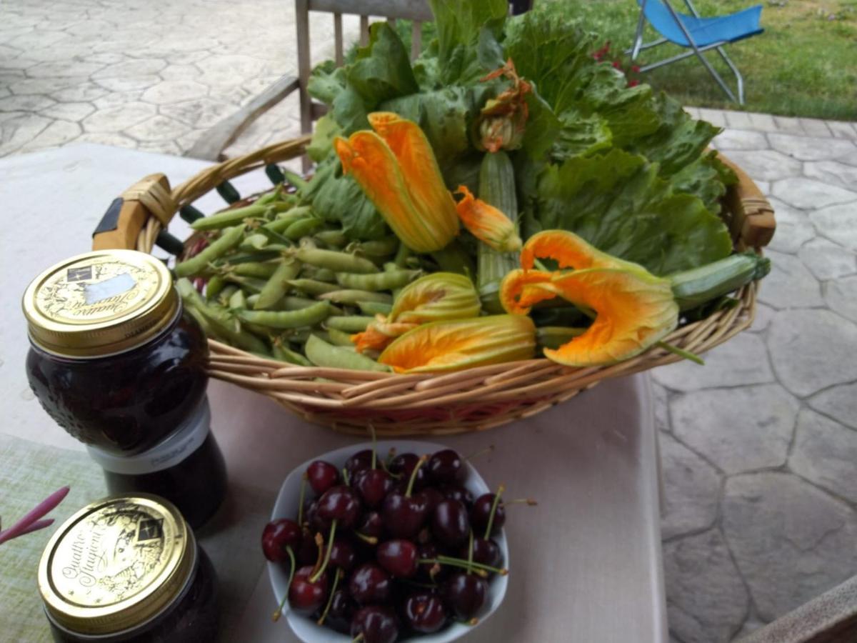 Agriturismo Allo Scoglio - Azienda Agricola Trieste Ngoại thất bức ảnh
