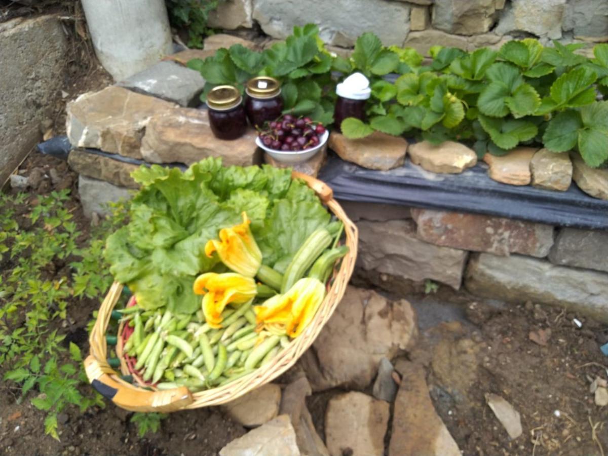 Agriturismo Allo Scoglio - Azienda Agricola Trieste Ngoại thất bức ảnh