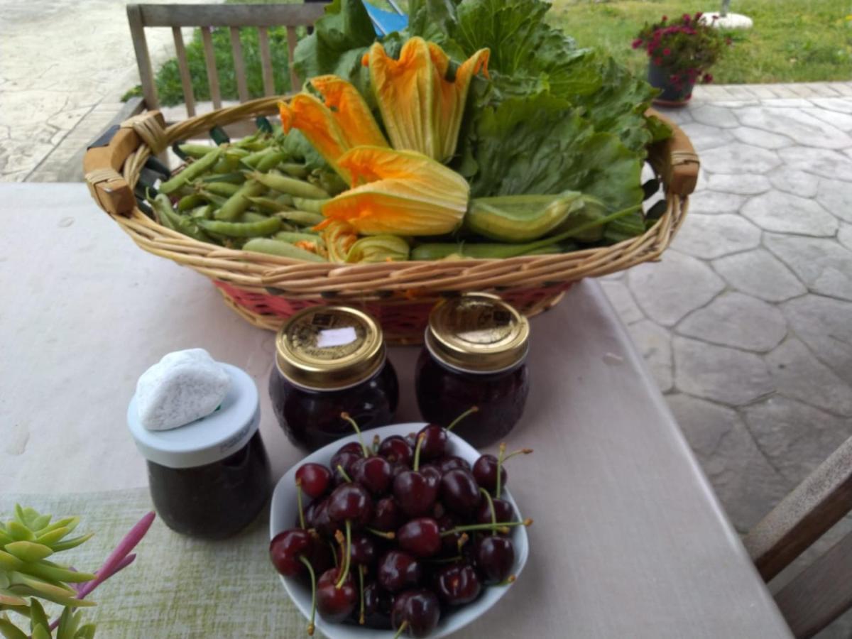 Agriturismo Allo Scoglio - Azienda Agricola Trieste Ngoại thất bức ảnh
